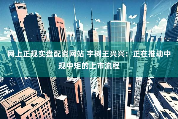 网上正规实盘配资网站 宇树王兴兴：正在推动中规中矩的上市流程
