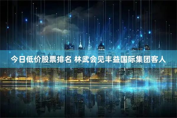 今日低价股票排名 林武会见丰益国际集团客人